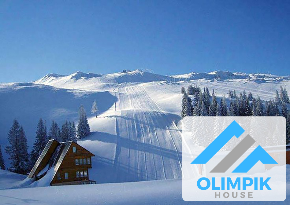 Olimpik House property image